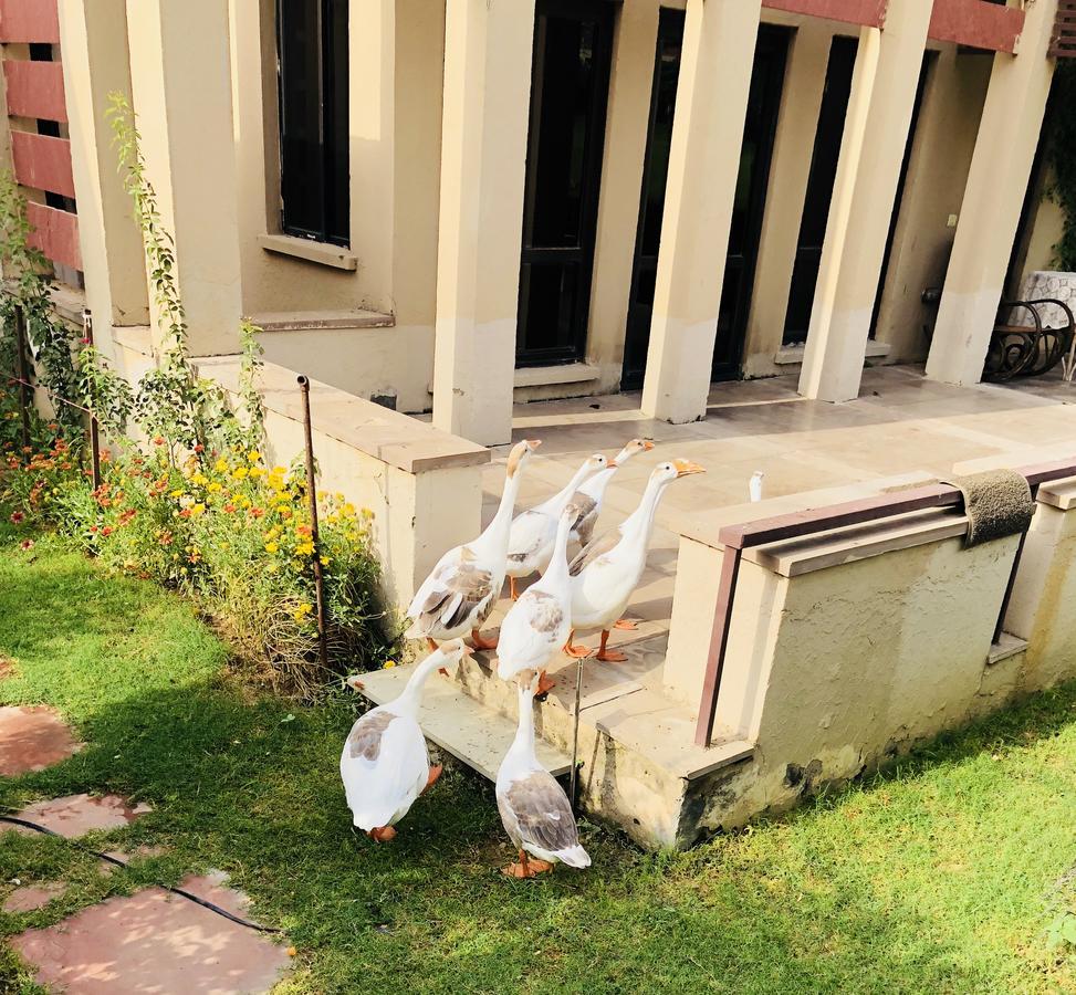 Apartment Beautiful At Tarudhan Valley Golf Resort, Manesar *